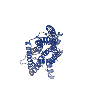 23374_7lid_C_v1-1
The structure of the insect olfactory receptor OR5 from Machilis hrabei in complex with eugenol