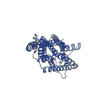 23374_7lid_D_v1-1
The structure of the insect olfactory receptor OR5 from Machilis hrabei in complex with eugenol