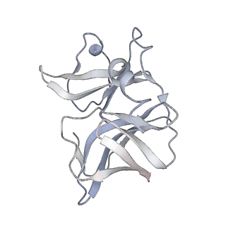 23378_7lih_C_v1-1
CryoEM structure of Mayaro virus icosahedral subunit