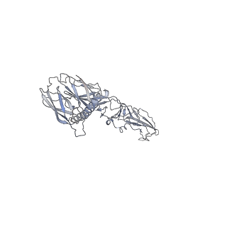 23378_7lih_H_v1-1
CryoEM structure of Mayaro virus icosahedral subunit