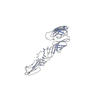 23378_7lih_I_v1-1
CryoEM structure of Mayaro virus icosahedral subunit