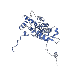23387_7liw_A_v1-2
Local refinement of human ATP citrate lyase E599Q mutant ASH domain