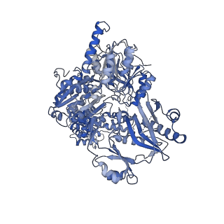23387_7liw_B_v1-2
Local refinement of human ATP citrate lyase E599Q mutant ASH domain