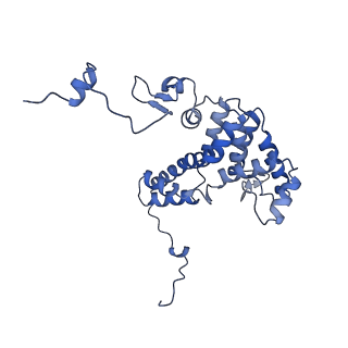 23387_7liw_C_v1-2
Local refinement of human ATP citrate lyase E599Q mutant ASH domain
