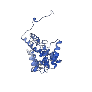 23387_7liw_D_v1-2
Local refinement of human ATP citrate lyase E599Q mutant ASH domain