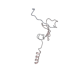4050_5li0_3_v1-3
70S ribosome from Staphylococcus aureus