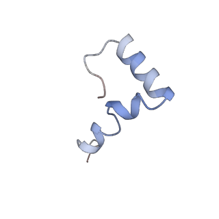 4050_5li0_6_v1-3
70S ribosome from Staphylococcus aureus