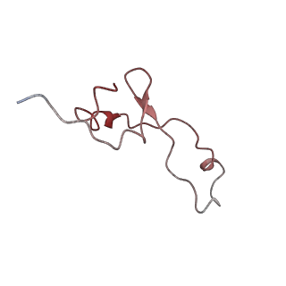 4050_5li0_7_v1-3
70S ribosome from Staphylococcus aureus
