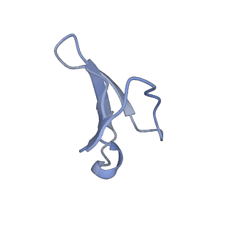 4050_5li0_8_v1-3
70S ribosome from Staphylococcus aureus