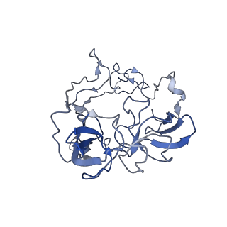 4050_5li0_D_v1-3
70S ribosome from Staphylococcus aureus