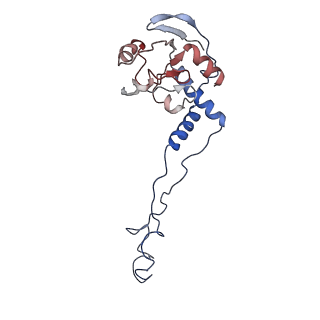 4050_5li0_F_v1-3
70S ribosome from Staphylococcus aureus