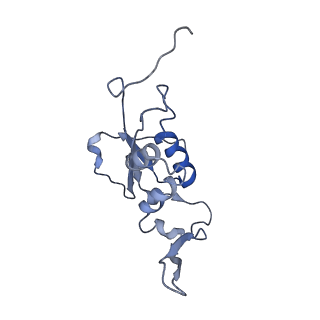 4050_5li0_M_v1-3
70S ribosome from Staphylococcus aureus