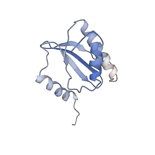 4050_5li0_R_v1-3
70S ribosome from Staphylococcus aureus