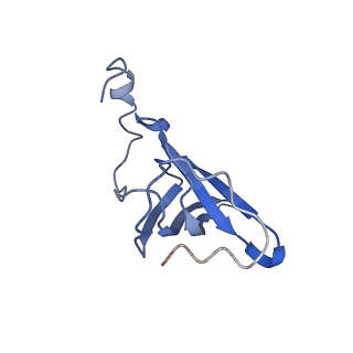 4050_5li0_S_v1-3
70S ribosome from Staphylococcus aureus