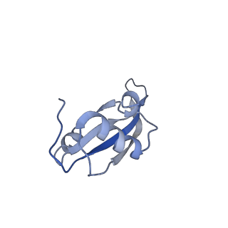 4050_5li0_W_v1-3
70S ribosome from Staphylococcus aureus