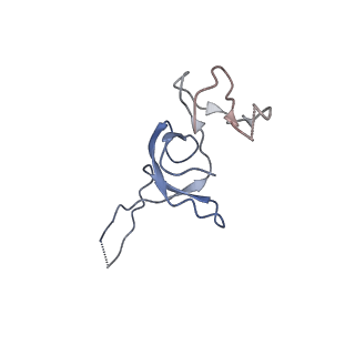 4050_5li0_X_v1-3
70S ribosome from Staphylococcus aureus