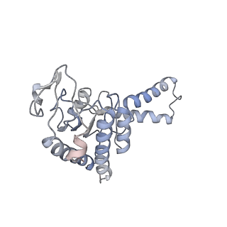 4050_5li0_b_v1-3
70S ribosome from Staphylococcus aureus