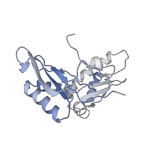 4050_5li0_c_v1-3
70S ribosome from Staphylococcus aureus