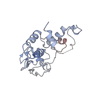 4050_5li0_d_v1-3
70S ribosome from Staphylococcus aureus