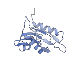 4050_5li0_h_v1-3
70S ribosome from Staphylococcus aureus