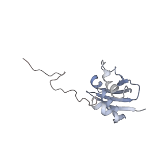 4050_5li0_i_v1-3
70S ribosome from Staphylococcus aureus