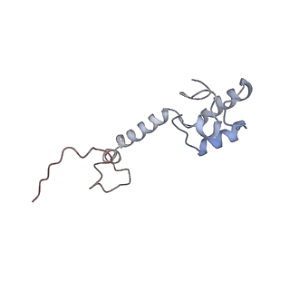 4050_5li0_m_v1-3
70S ribosome from Staphylococcus aureus