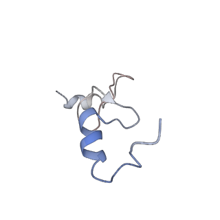4050_5li0_n_v1-3
70S ribosome from Staphylococcus aureus