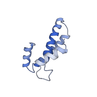 4050_5li0_o_v1-3
70S ribosome from Staphylococcus aureus