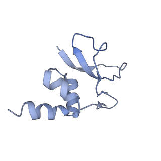 4050_5li0_p_v1-3
70S ribosome from Staphylococcus aureus