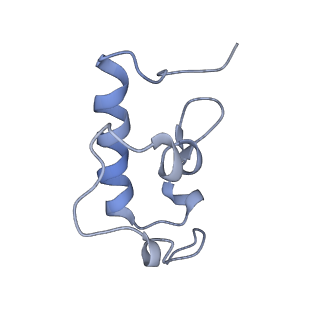4050_5li0_r_v1-3
70S ribosome from Staphylococcus aureus