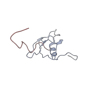 4050_5li0_s_v1-3
70S ribosome from Staphylococcus aureus