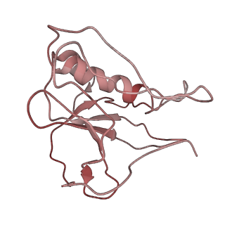 4054_5lij_P_v1-2
polyalanine chain built in bacteriophage phi812K1-420 cement protein density map