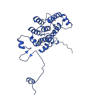 23389_7lj9_A_v1-2
Structure of human ATP citrate lyase in complex with acetyl-CoA and oxaloacetate