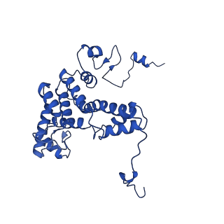 23389_7lj9_C_v1-2
Structure of human ATP citrate lyase in complex with acetyl-CoA and oxaloacetate