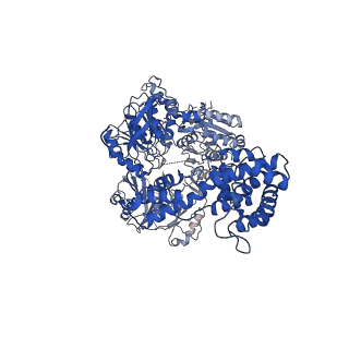 23389_7lj9_D_v1-2
Structure of human ATP citrate lyase in complex with acetyl-CoA and oxaloacetate