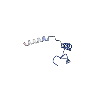 23390_7ljc_G_v1-2
Allosteric modulator LY3154207 binding to SKF-81297-bound dopamine receptor 1 in complex with miniGs protein