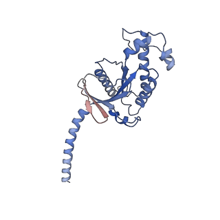 23391_7ljd_A_v1-2
Allosteric modulator LY3154207 binding to dopamine-bound dopamine receptor 1 in complex with miniGs protein
