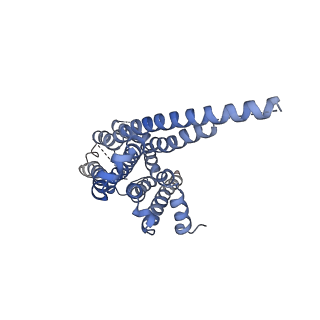 23391_7ljd_R_v1-2
Allosteric modulator LY3154207 binding to dopamine-bound dopamine receptor 1 in complex with miniGs protein