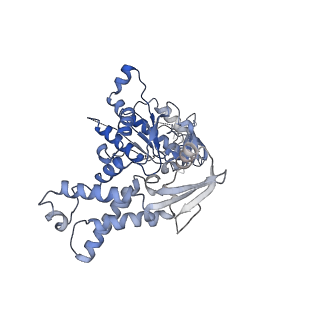 23392_7ljf_A_v1-0
Cryo-EM structure of the Mpa hexamer in the presence of ATP and the Pup-FabD substrate
