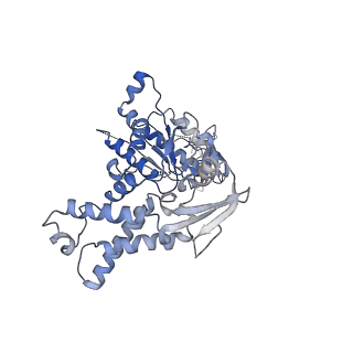 23392_7ljf_A_v1-1
Cryo-EM structure of the Mpa hexamer in the presence of ATP and the Pup-FabD substrate