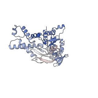 23392_7ljf_B_v1-0
Cryo-EM structure of the Mpa hexamer in the presence of ATP and the Pup-FabD substrate