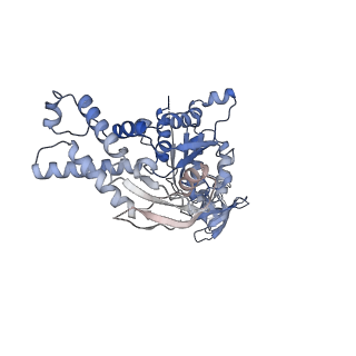 23392_7ljf_B_v1-1
Cryo-EM structure of the Mpa hexamer in the presence of ATP and the Pup-FabD substrate