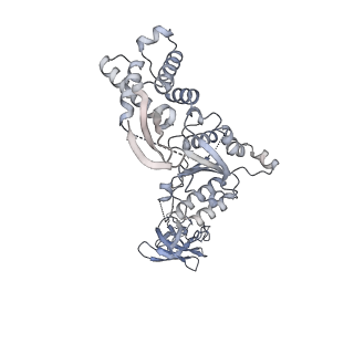 23392_7ljf_C_v1-0
Cryo-EM structure of the Mpa hexamer in the presence of ATP and the Pup-FabD substrate