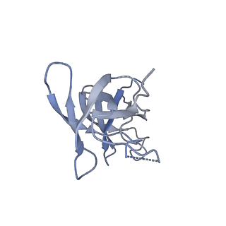 23392_7ljf_D_v1-0
Cryo-EM structure of the Mpa hexamer in the presence of ATP and the Pup-FabD substrate
