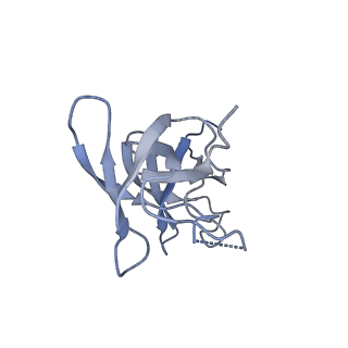 23392_7ljf_D_v1-1
Cryo-EM structure of the Mpa hexamer in the presence of ATP and the Pup-FabD substrate