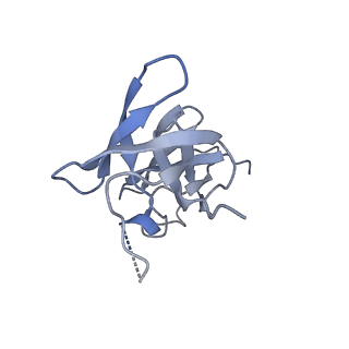 23392_7ljf_E_v1-0
Cryo-EM structure of the Mpa hexamer in the presence of ATP and the Pup-FabD substrate
