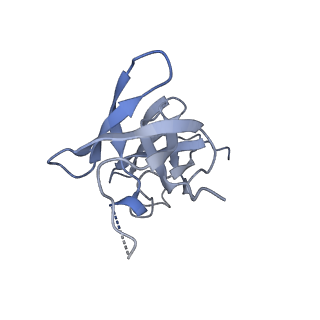 23392_7ljf_E_v1-1
Cryo-EM structure of the Mpa hexamer in the presence of ATP and the Pup-FabD substrate