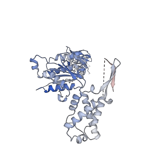 23392_7ljf_F_v1-0
Cryo-EM structure of the Mpa hexamer in the presence of ATP and the Pup-FabD substrate