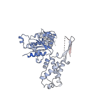 23392_7ljf_F_v1-1
Cryo-EM structure of the Mpa hexamer in the presence of ATP and the Pup-FabD substrate