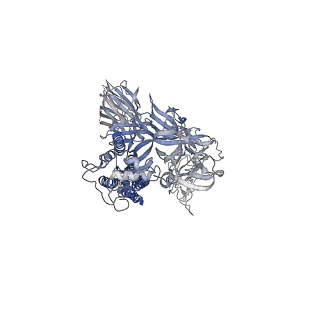 23400_7ljr_B_v1-1
SARS-CoV-2 Spike Protein Trimer bound to DH1043 fab